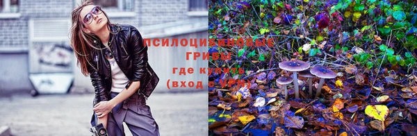 таблы Алексеевка